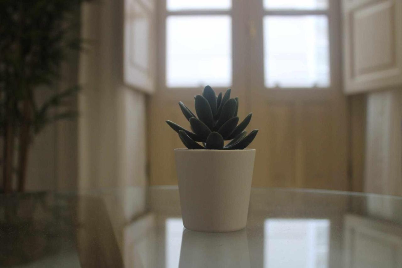 דירות Acogedor Apartamento En El Corazon De מאלגה מראה חיצוני תמונה